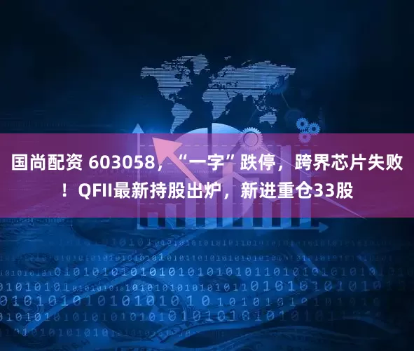 国尚配资 603058，“一字”跌停，跨界芯片失败！QFII最新持股出炉，新进重仓33股